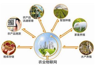 云飞农业物联网 让技术服务赋能，人人皆可成为智慧农业管家