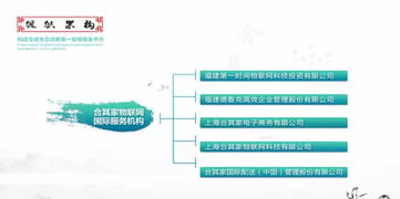 合其家物联网国际服务机构 构建全球物联技术服务新生态